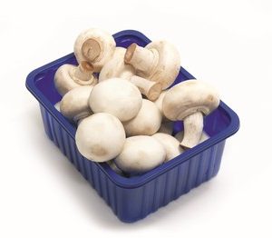 Sēnes Šampinjoni fas. Lietuva 250g