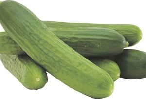 Gurķi garie 1gb.Latvija