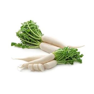 Redīsi baltie Lavija 2šķ.