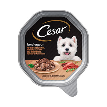Barība suņiem Cesar tray ar maigu tītaru